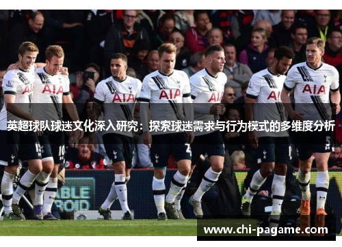 英超球队球迷文化深入研究：探索球迷需求与行为模式的多维度分析